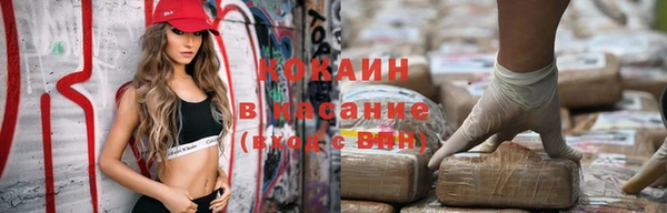 шишки Бронницы