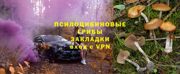 сатива Бугульма