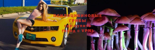 сатива Бугульма