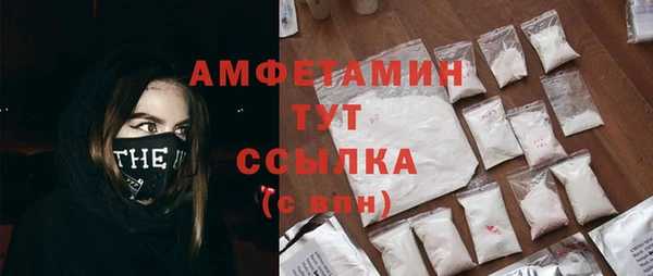 сатива Бугульма