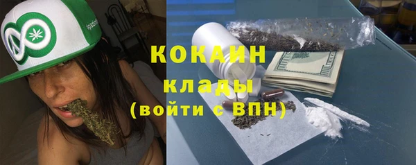 шишки Бронницы