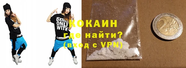 шишки Бронницы