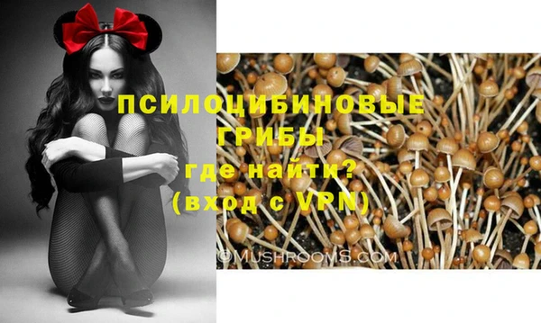 меф Бородино
