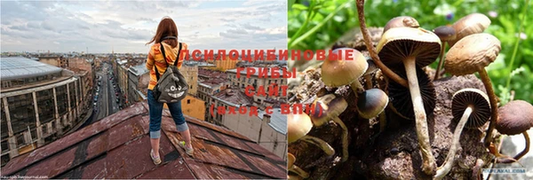 меф Бородино
