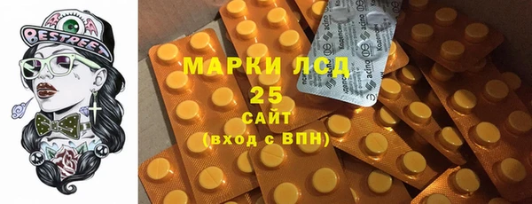 шишки Бронницы