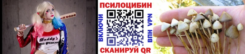 Купить где  Чухлома  Галлюциногенные грибы GOLDEN TEACHER 